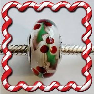 New Pandora Holly Berry Bead